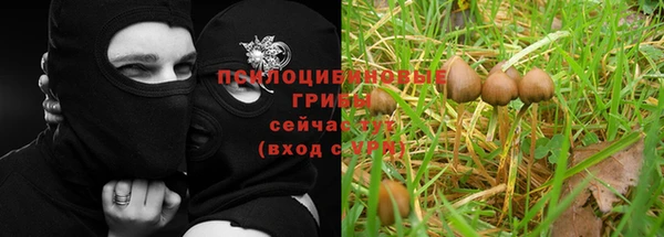 МДМА Лихославль