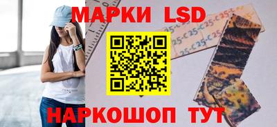 спиды Дубна